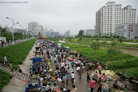 鷹譯屬於哪個省